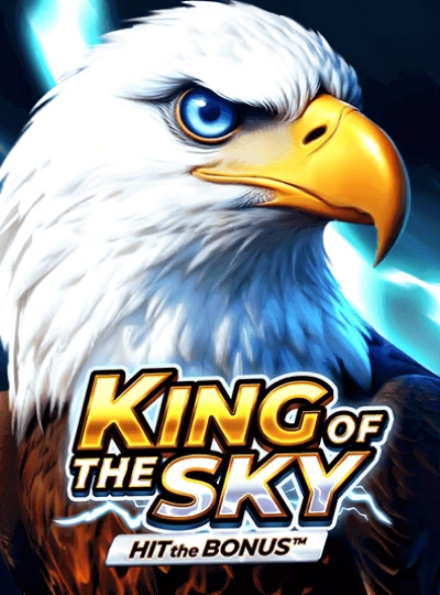 Video slot game cover